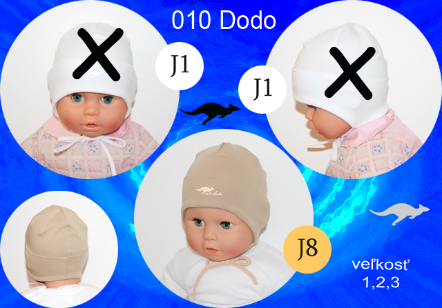 010 Dodo J8